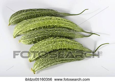Bitter melon, bitter cucumber, balsamic pear, bitter spring cucumber (Momordica charantia) View Large Photo Image Stock Photograph - Bitter melon, bitter cucumber, balsamic pear, bitter spring cucumber (Momordica charantia). Fotosearch
