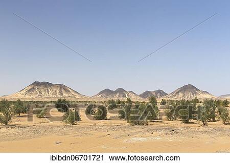 Black desert, western libyan desert, Egypt, Africa View Large Photo Image Stock Image - Black desert, western libyan desert, Egypt, Africa. Fotosearch