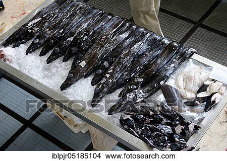 Picture - Black scabbardfish ( Aphanopus carbo) Fish stand, market hall in Funchal, Madeira, Portugal, Europe. Fotosearch