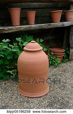 Bleaching pot, rhubarb bleaching pot, rhubarb pot, bleaching pots, forcing pot, forcing pot, forcing pots, garden pottery, forcing bell, forcing bells View Large Photo Image Stock Photo - Bleaching pot, rhubarb bleaching pot, rhubarb pot, bleaching pots, forcing pot, forcing pot, forcing pots, garden pottery, forcing bell, forcing bells. Fotosearch
