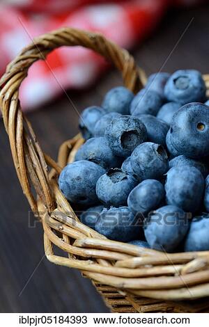 Blueberries( Vaccinium myrtillus), Blueberries View Large Photo Image Stock Image - Blueberries( Vaccinium myrtillus), Blueberries. Fotosearch