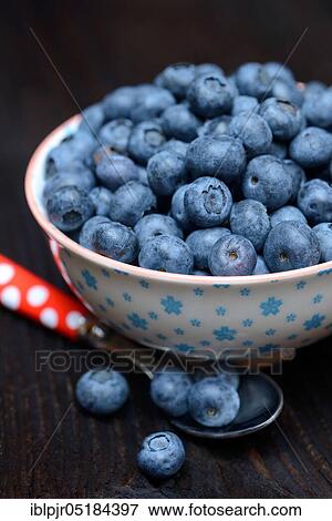Stock Photo - Blueberries( Vaccinium myrtillus), Blueberries. Fotosearch