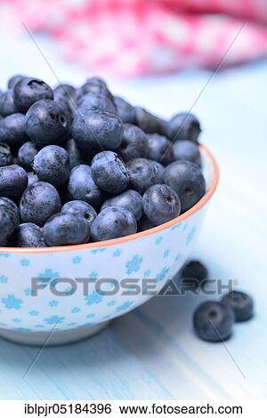 Blueberries( Vaccinium myrtillus), Blueberries View Large Photo Image Stock Photograph - Blueberries( Vaccinium myrtillus), Blueberries. Fotosearch