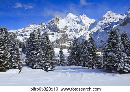 Bluemlisalp Rothorn, Blümlisalphorn, Oeschinenhorn, Bernese Alps, Switzerland, Europe View Large Photo Image Stock Image - Bluemlisalp Rothorn, Blümlisalphorn, Oeschinenhorn, Bernese Alps, Switzerland, Europe. Fotosearch