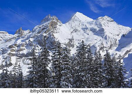 Blüemlisalp Rothorn, Blüemlisalphorn, Oeschinenhorn, Bernese Alps, Switzerland, Europe View Large Photo Image Stock Image - Blüemlisalp Rothorn, Blüemlisalphorn, Oeschinenhorn, Bernese Alps, Switzerland, Europe. Fotosearch