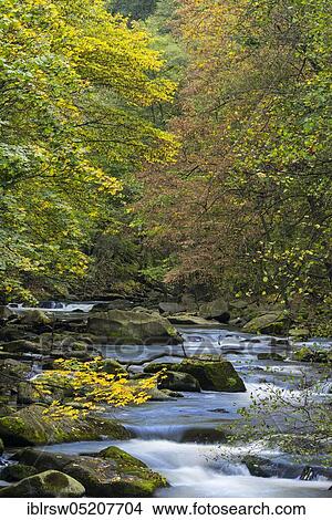 Picture - Bode, Bodetal, Harz, Saxony-Anhalt, Germany, Europe. Fotosearch