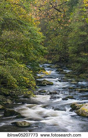 Bode, Bodetal, Harz, Saxony-Anhalt, Germany, Europe View Large Photo Image Stock Image - Bode, Bodetal, Harz, Saxony-Anhalt, Germany, Europe. Fotosearch
