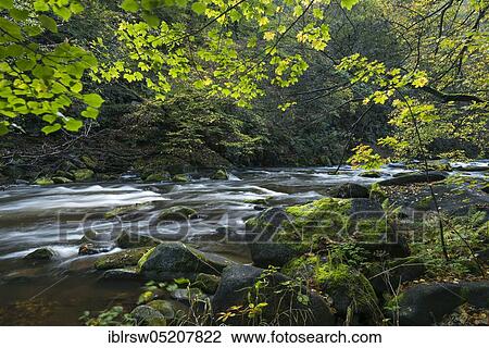 Bode, Bodetal, Harz, Saxony-Anhalt, Germany, Europe View Large Photo Image Stock Image - Bode, Bodetal, Harz, Saxony-Anhalt, Germany, Europe. Fotosearch