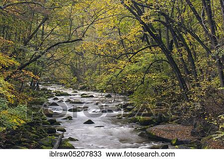 Bode, Bodetal, Harz, Saxony-Anhalt, Germany, Europe View Large Photo Image Stock Image - Bode, Bodetal, Harz, Saxony-Anhalt, Germany, Europe. Fotosearch