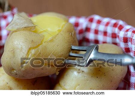 Boiled potatoes with fork in basket View Large Photo Image Stock Image - Boiled potatoes with fork in basket. Fotosearch