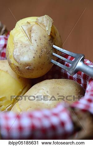 Boiled potatoes with fork in basket View Large Photo Image Stock Image - Boiled potatoes with fork in basket. Fotosearch