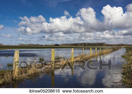 Boller Moor, wetland meadow, nature reserve, Oldenburger Münsterland, Lower Saxony, Germany, Europe View Large Photo Image Stock Photograph - Boller Moor, wetland meadow, nature reserve, Oldenburger Münsterland, Lower Saxony, Germany, Europe. Fotosearch