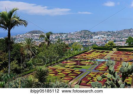 Stock Image - Botanical Garden, View of Funchal, Jardim Botanico da Madeira, Funchal, Madeira, Portugal, Europe. Fotosearch