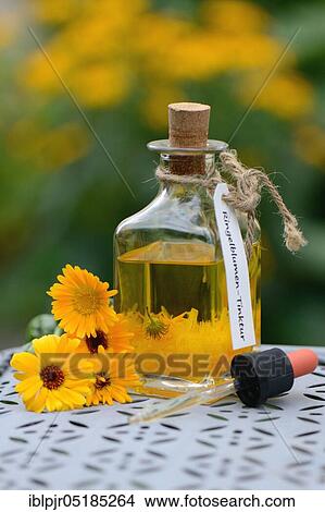 Bottle with -tincture, Marigoldstincture View Large Photo Image Picture - Bottle with -tincture, Marigoldstincture. Fotosearch