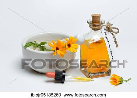Bottle with -tincture, Marigoldstincture View Large Photo Image Stock Image - Bottle with -tincture, Marigoldstincture. Fotosearch