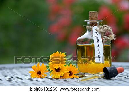 Bottle with -tincture, Marigoldstincture View Large Photo Image Stock Image - Bottle with -tincture, Marigoldstincture. Fotosearch