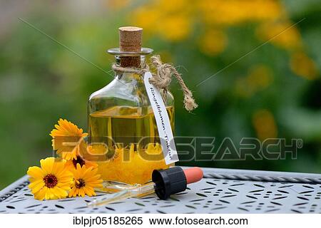 Bottle with -tincture, Marigoldstincture View Large Photo Image Stock Photography - Bottle with -tincture, Marigoldstincture. Fotosearch