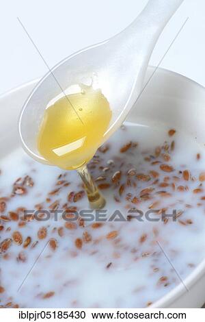Bowl of swollen flax seed and spoonful of honey, flax swollen in water and milk, Common flax ( Linum usitatissimum) View Large Photo Image Stock Image - Bowl of swollen flax seed and spoonful of honey, flax swollen in water and milk, Common flax ( Linum usitatissimum). Fotosearch