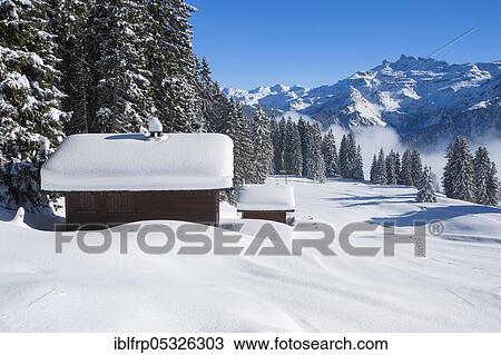 Braunwald with Freiberge Kaerpf, Glarus Alps, Switzerland, Freiberge Kärpf, Europe View Large Photo Image Stock Image - Braunwald with Freiberge Kaerpf, Glarus Alps, Switzerland, Freiberge Kärpf, Europe. Fotosearch