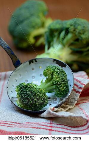 Broccoli florets in ladle ( Brassica oleraceae var. italica) View Large Photo Image Stock Image - Broccoli florets in ladle ( Brassica oleraceae var. italica). Fotosearch