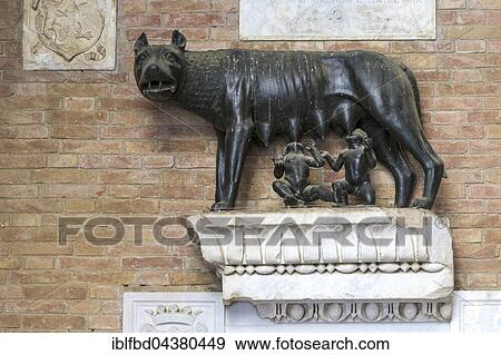 Bronze sculpture, Capitoline Wolf, breastfeeding twins Romulus and Remus, inside Palazzo Pubblico, Siena, Tuscany, Italy, Europe View Large Photo Image Stock Photo - Bronze sculpture, Capitoline Wolf, breastfeeding twins Romulus and Remus, inside Palazzo Pubblico, Siena, Tuscany, Italy, Europe. Fotosearch
