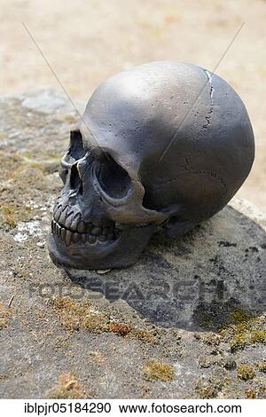 Stock Image - Bronze skull, Johannis cemetery, Nuremberg, Franconia, Bavaria, Germany, Europe. Fotosearch