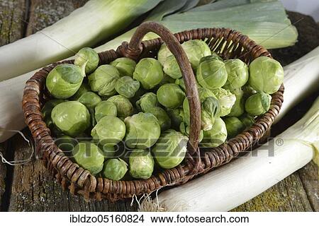 Brussels sprout (Brassica oleracea var. gemmifera), leek (Allium porrum) View Large Photo Image Picture - Brussels sprout (Brassica oleracea var. gemmifera), leek (Allium porrum). Fotosearch