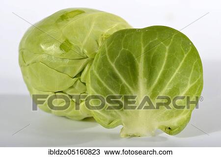 Brussels sprout (Brassica oleracea var. gemmifera) View Large Photo Image Stock Image - Brussels sprout (Brassica oleracea var. gemmifera). Fotosearch