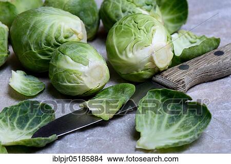 Brussels sprouts with kitchen knife ( Braßica oleracea gemmifera) View Large Photo Image Picture - Brussels sprouts with kitchen knife ( Braßica oleracea gemmifera). Fotosearch