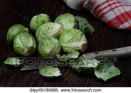 Brussels sprouts with kitchen knife ( Braßica oleracea gemmifera) View Large Photo Image Stock Photography - Brussels sprouts with kitchen knife ( Braßica oleracea gemmifera). Fotosearch