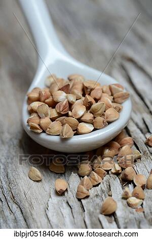Stock Photograph - Buckwheat (Fagopyrum esculentum), wooden shovel. Fotosearch