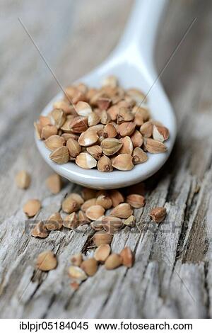 Buckwheat (Fagopyrum esculentum), wooden shovel View Large Photo Image Stock Photography - Buckwheat (Fagopyrum esculentum), wooden shovel. Fotosearch