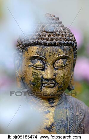 Picture - Buddha head, Buddhism. Fotosearch
