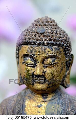 Buddha head, Buddhism View Large Photo Image Stock Photography - Buddha head, Buddhism. Fotosearch