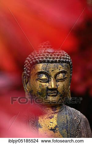 Buddha head with autumn leaves View Large Photo Image Picture - Buddha head with autumn leaves. Fotosearch