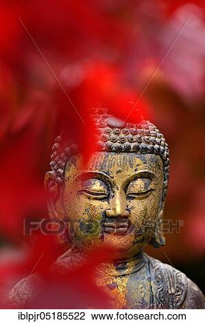 Stock Image - Buddha head with autumn leaves. Fotosearch