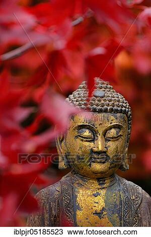 Buddha head with autumn leaves View Large Photo Image Stock Image - Buddha head with autumn leaves. Fotosearch