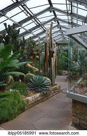 Cactus house at Wilhelma, Zoological-Botanical Garden, Stuttgart, Baden-Württemberg, Germany, Europe View Large Photo Image Stock Image - Cactus house at Wilhelma, Zoological-Botanical Garden, Stuttgart, Baden-Württemberg, Germany, Europe. Fotosearch