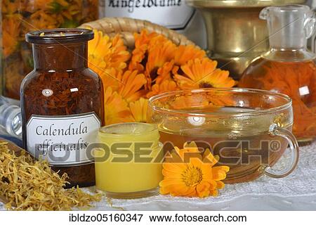 Calendula, calendula oil (Calendula officinalis) Calendula oil, calendula tea, calendula ointment View Large Photo Image Stock Photo - Calendula, calendula oil (Calendula officinalis) Calendula oil, calendula tea, calendula ointment. Fotosearch