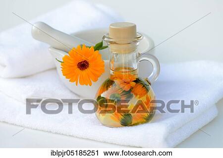 Stock Image - Calendula oil in bottle, Calendula oil. Fotosearch