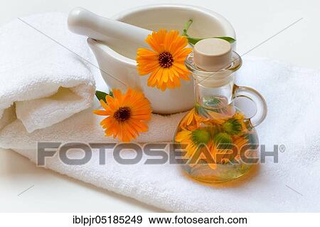Calendula oil in bottle, Calendula oil View Large Photo Image Stock Photo - Calendula oil in bottle, Calendula oil. Fotosearch