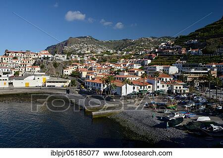 Camara de Lobos, fishing village, port and village, Madeira, Portugal, Europe View Large Photo Image Stock Photo - Camara de Lobos, fishing village, port and village, Madeira, Portugal, Europe. Fotosearch