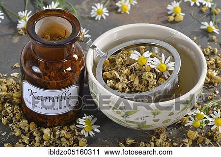 Camomile tea (Matricaria chamomilla) View Large Photo Image Stock Image - Camomile tea (Matricaria chamomilla). Fotosearch