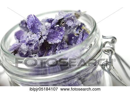 Candied violet blossoms, in preserving jar, candied, violet blossoms View Large Photo Image Stock Photo - Candied violet blossoms, in preserving jar, candied, violet blossoms. Fotosearch