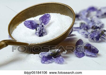 Stock Photograph - Candied violet flowers on sugar, in ladle, candied, violet flowers. Fotosearch