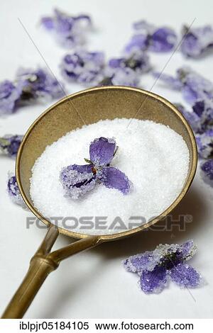 Candied violet flowers on sugar, in ladle, candied, violet flowers View Large Photo Image Stock Photography - Candied violet flowers on sugar, in ladle, candied, violet flowers. Fotosearch