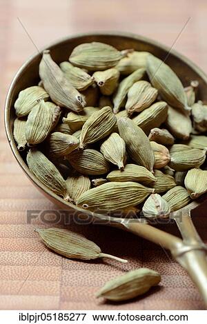 Stock Photo - Cardamom ( Elettaria cardamomum) in brass ladle. Fotosearch