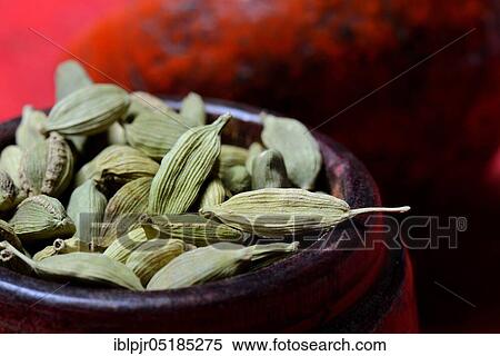 Stock Photography - Cardamom ( Elettaria cardamomum). Fotosearch