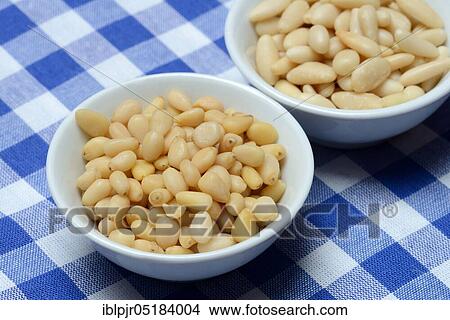 Cedar and pine nuts View Large Photo Image Picture - Cedar and pine nuts. Fotosearch