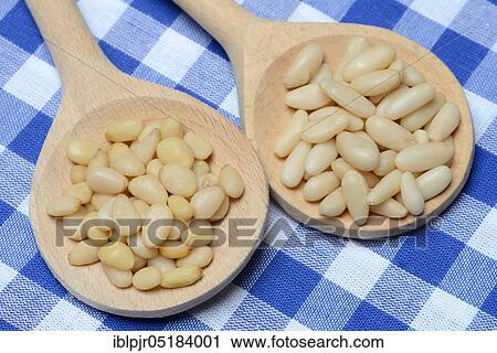Stock Image - Cedar and pine nuts. Fotosearch
